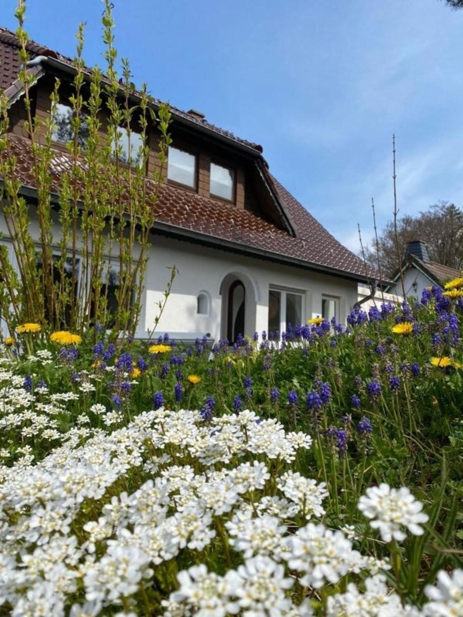 Ferienwohnung Eifelglueck Pelm Esterno foto